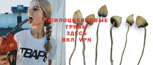 не бодяженный Абдулино