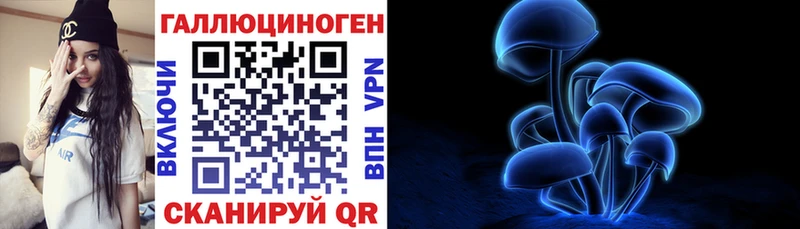 hydra зеркало Терек Псилоцибиновые грибы MAGIC MUSHROOMS купить